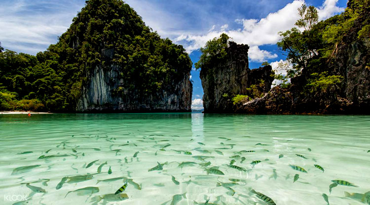 Koh Hong