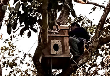 Hornbill Home