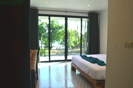 View from Standard Room
